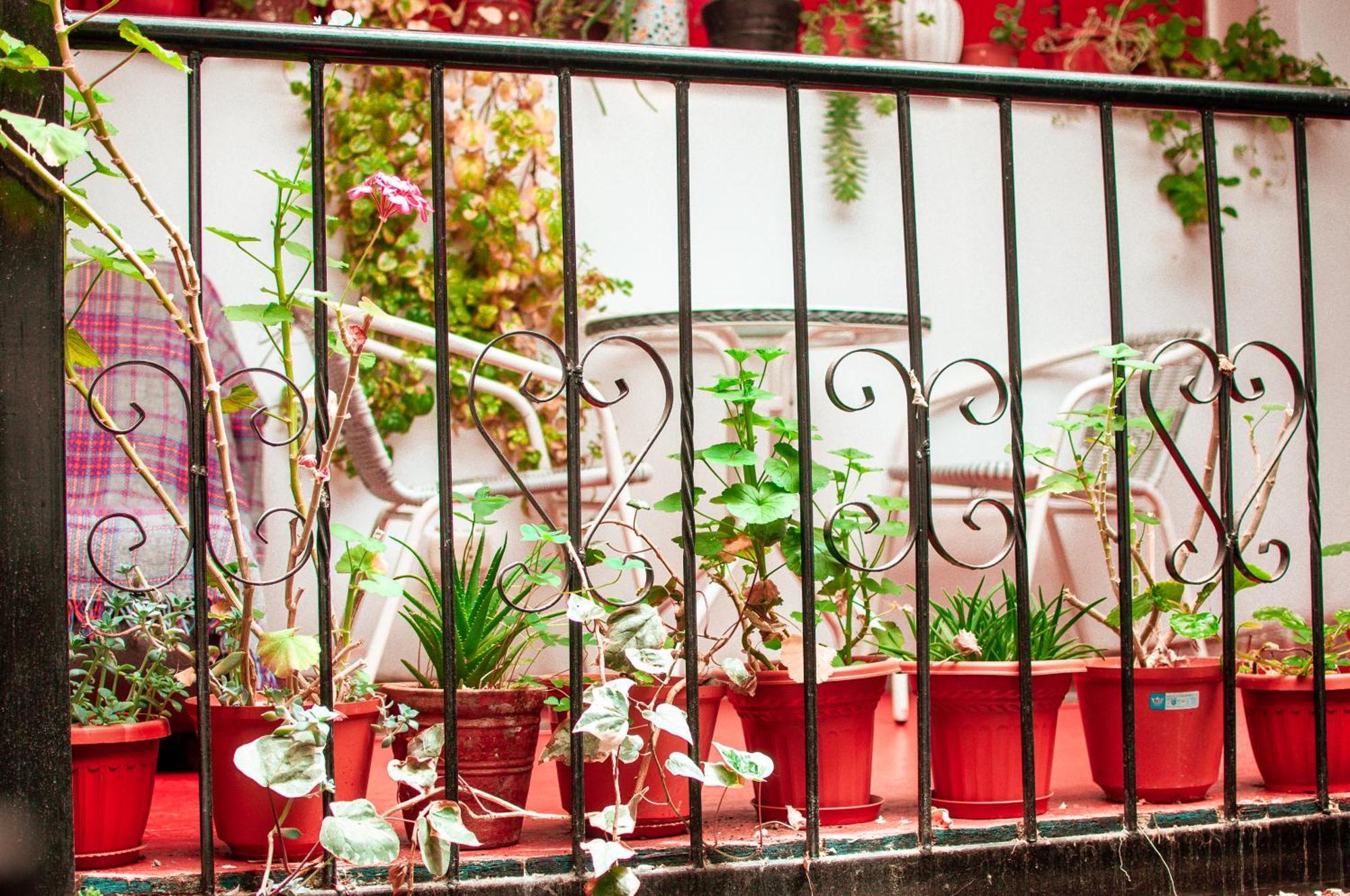 La Casa De Laura - Plaza Hotel Cuzco Exterior photo